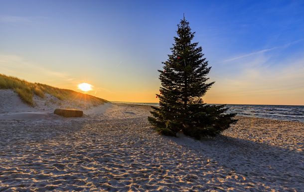 Weihnachtsbaum am Ostseestrand auf dem Darß