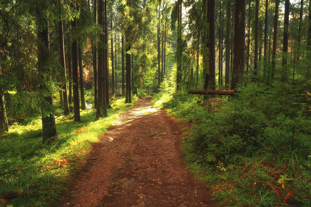 Harz Braunlage