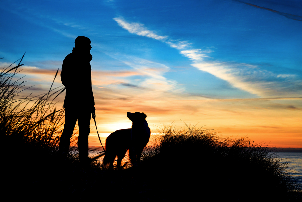 Silhouette von einem Mann und einem Hund am Strand bei Sonnenuntergang