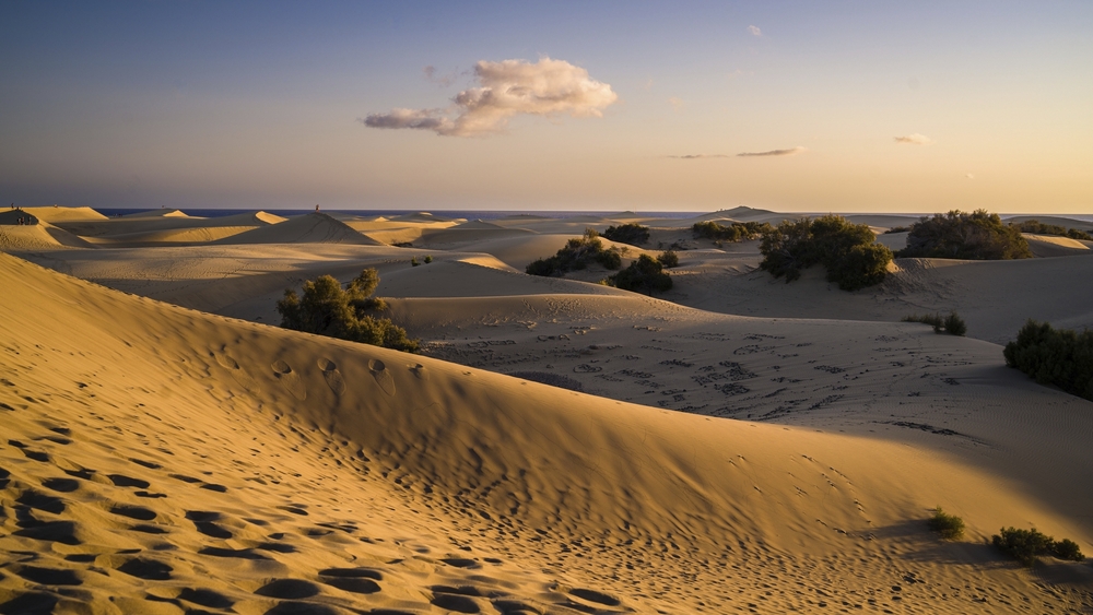 Maspalomas