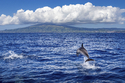 Ein Hoch auf die Azoren Entdecken Sie die Naturschönheiten auf São Miguel / TS