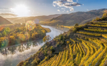Donautal Wachau