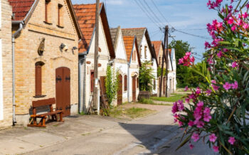 Straße in Kalocsa in Ungarn